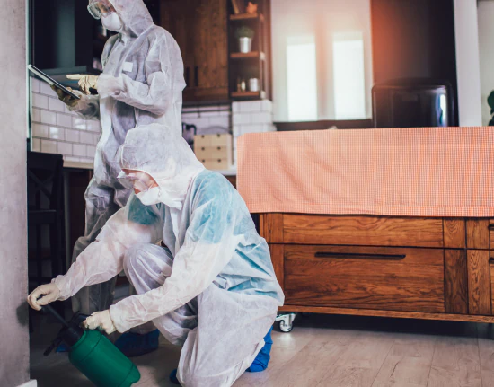 Delete Pest Control a